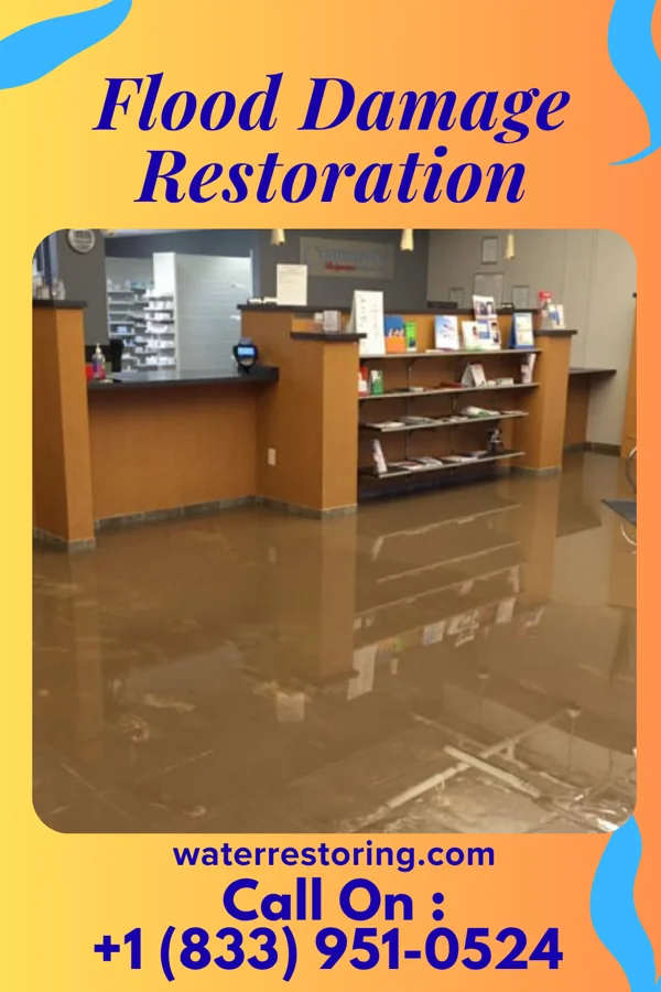 Flood Damage Restoration in Bowman, SC