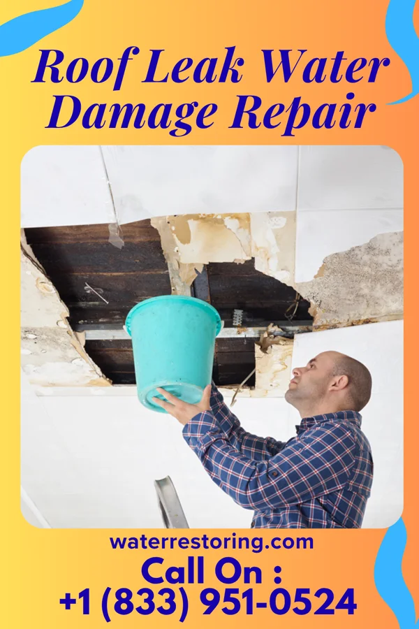 Roof Leak Water Damage Repair in Bowman, SC