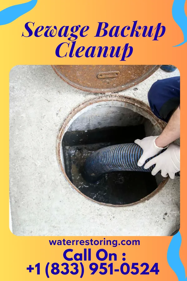 Sewage Backup Cleanup in Bowman, SC