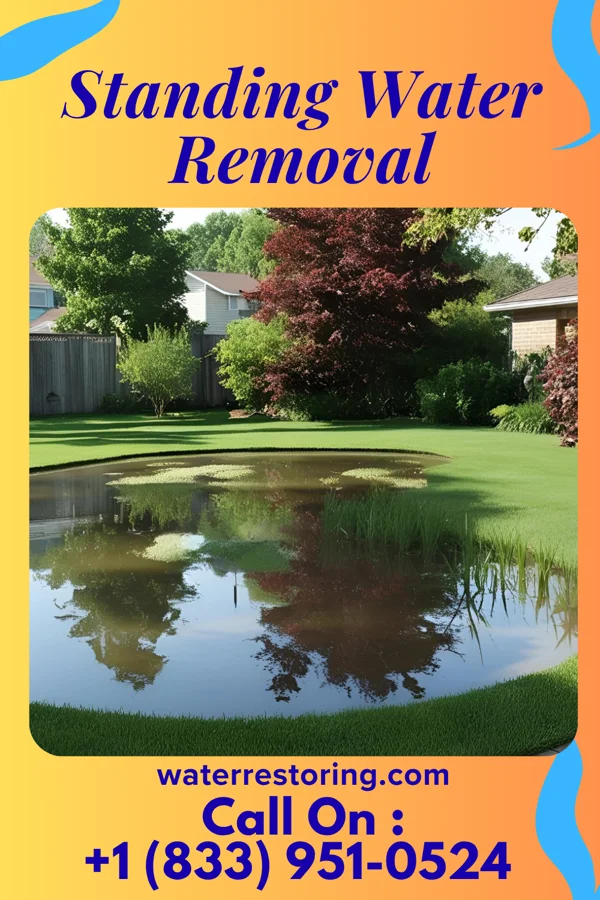 Standing Water Removal in Bowman, SC
